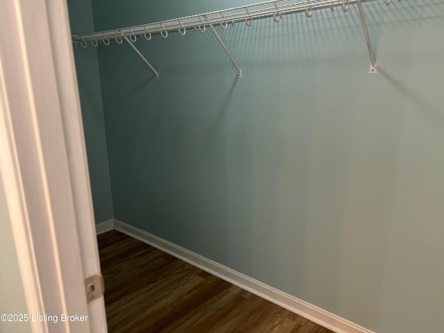 1513 La Fontenay Ct, Louisville, KY 40223 - spacious closet with dark wood-style floors
