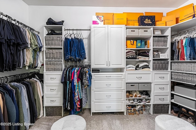 spacious closet with carpet flooring