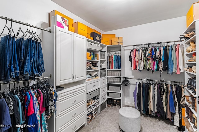 walk in closet with carpet flooring