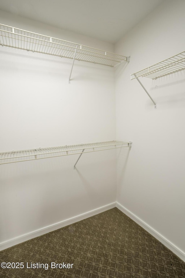 895 Woodlawn Rd Unit 2, Bardstown, KY 40004 - view of spacious closet