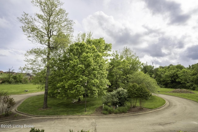 895 Woodlawn Rd Unit 2, Bardstown, KY 40004 - view of asphalt road featuring curbs