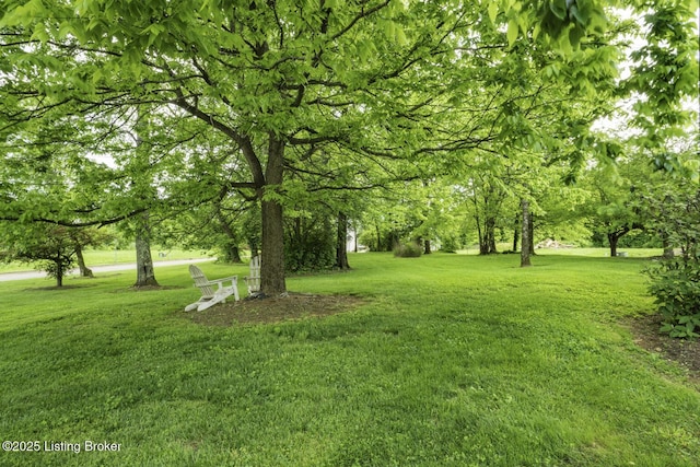 895 Woodlawn Rd Unit 2, Bardstown, KY 40004 - view of grassy yard
