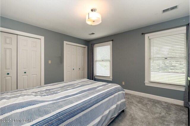 11308 Bodley Dr, Louisville, KY 40223 - bedroom featuring multiple closets, multiple windows, baseboards, and carpet