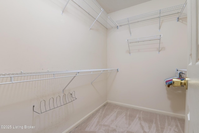 3010 Graystone Manor Pkwy, Louisville, KY 40241 - walk in closet with carpet flooring