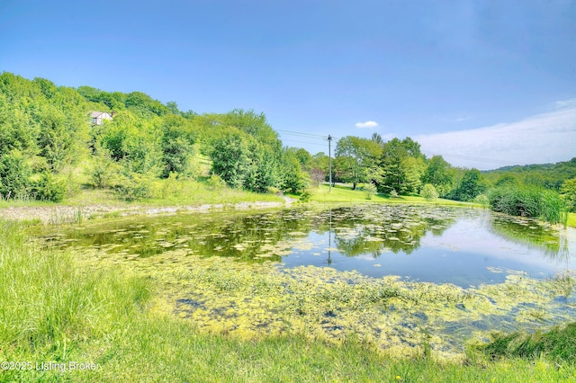 water view featuring a heavily wooded area