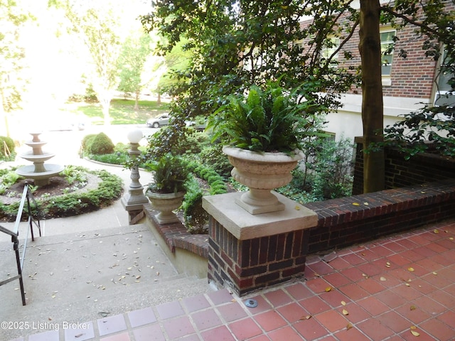 1412 Willow Ave Unit 52, Louisville, KY 40204 - photo 5