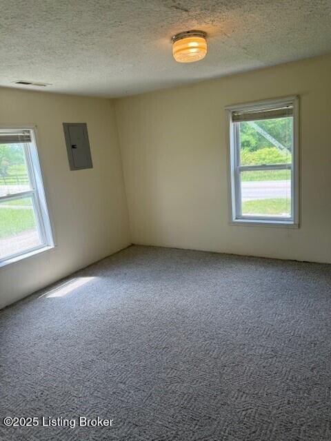 229 Beech Grove Rd, Shepherdsville, KY 40165 - carpeted empty room with electric panel, healthy amount of natural light, and a textured ceiling