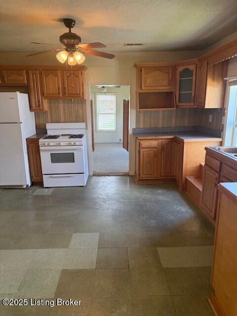 229 Beech Grove Rd, Shepherdsville, KY 40165 - kitchen featuring white appliances, plenty of natural light, ceiling fan, open shelves, and a textured ceiling