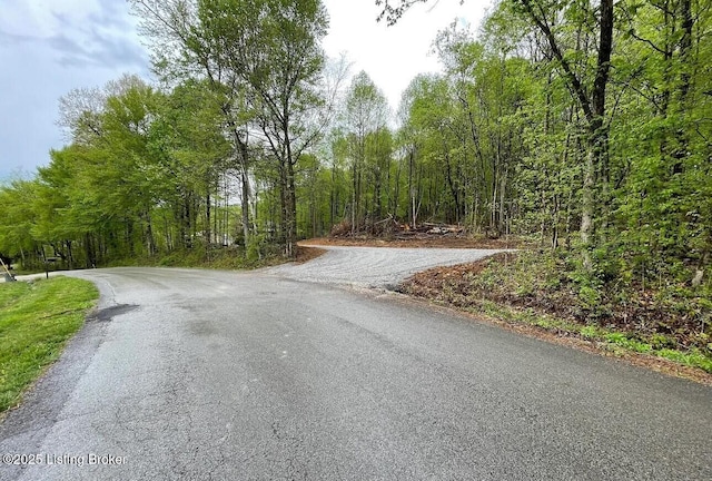 744 Bear Creek Rd, Leitchfield, KY 42754 - view of asphalt street with a view of trees