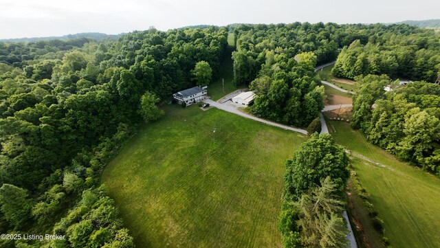 744 Bear Creek Rd, Leitchfield, KY 42754 - drone / aerial view of a forest