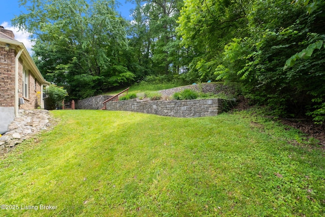 view of grassy yard