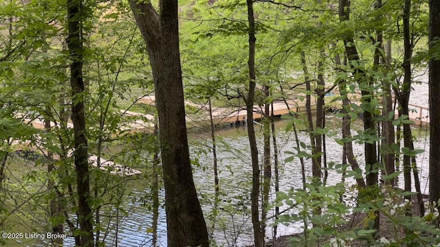403 Timberlake Ln, Mcdaniels, KY 40152 - water view featuring a forest