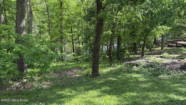 403 Timberlake Ln, Mcdaniels, KY 40152 - view of woods