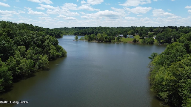 403 Timberlake Ln, Mcdaniels, KY 40152 - water view featuring a heavily wooded area