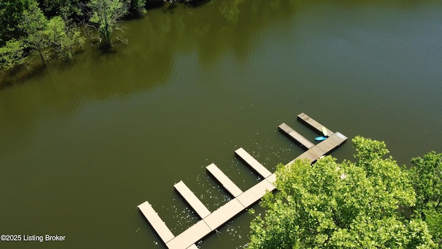 403 Timberlake Ln, Mcdaniels, KY 40152 - dock featuring a water view