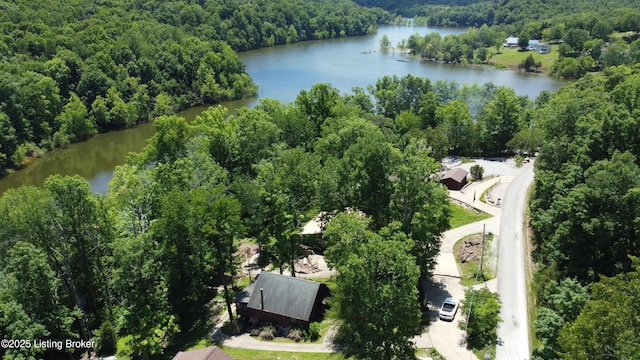 403 Timberlake Ln, Mcdaniels, KY 40152 - bird's eye view of a forest and a nearby body of water