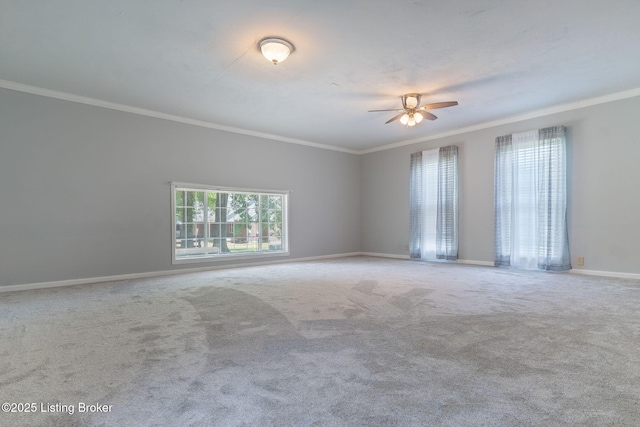 9310 Whitley Rd, Louisville, KY 40272 - photo 29