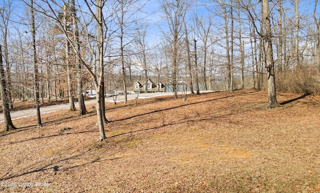 263 Hampton Rd, Brandenburg, KY 40108 - view of yard