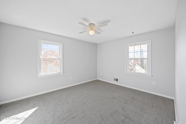 263 Hampton Rd, Brandenburg, KY 40108 - carpeted spare room featuring plenty of natural light, ceiling fan, and baseboards