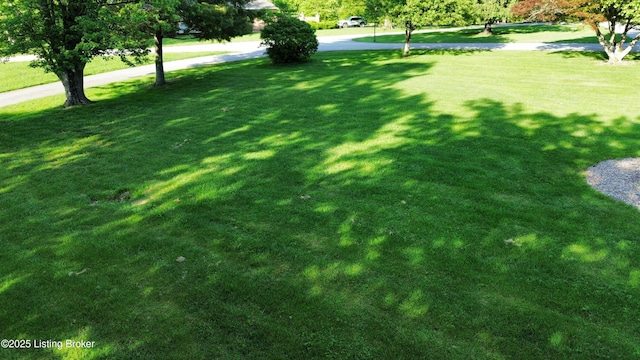 117 Northridge Dr, Bedford, KY 40006 - view of green lawn