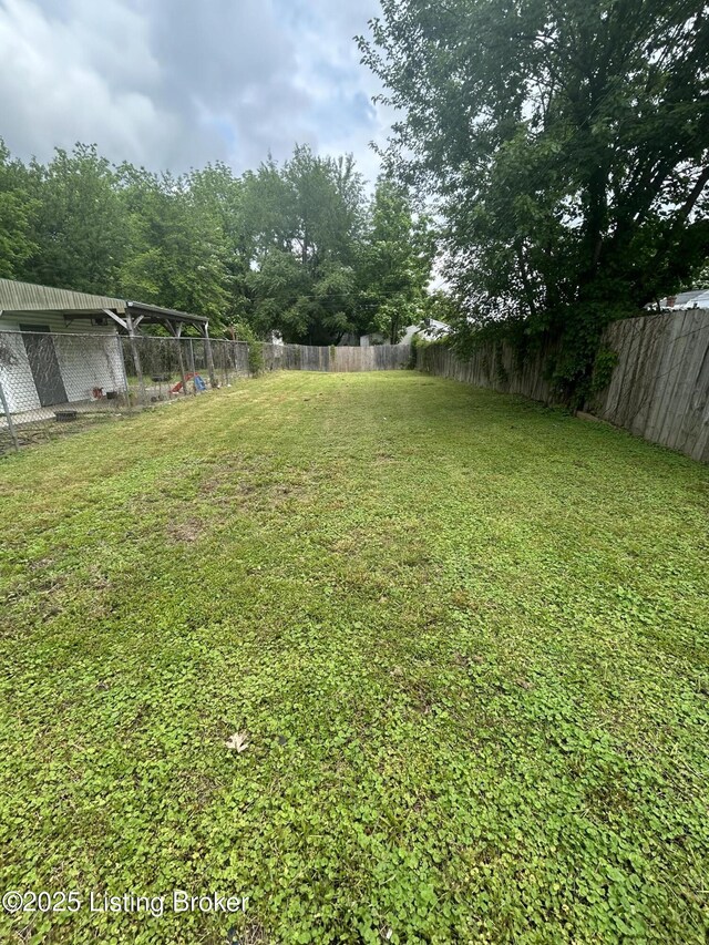 2503 W Main St, Louisville, KY 40212 - view of yard