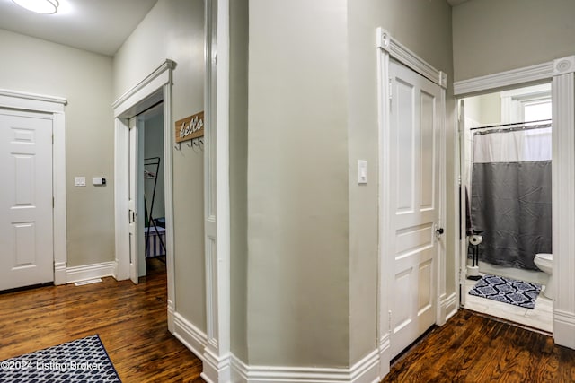 2935 S 3rd St, Louisville, KY 40208 - hallway with dark wood-style flooring and baseboards