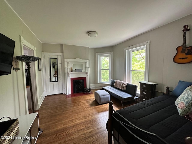 2935 S 3rd St, Louisville, KY 40208 - living room with dark wood-style flooring and a fireplace