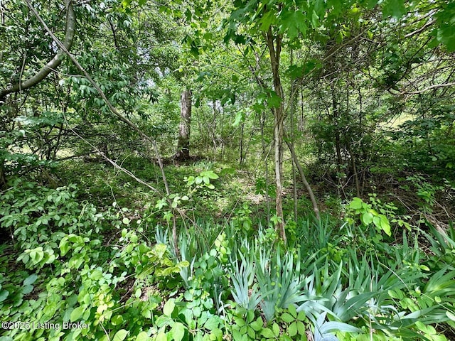 0 Sunbeam, Leitchfield, KY 42754