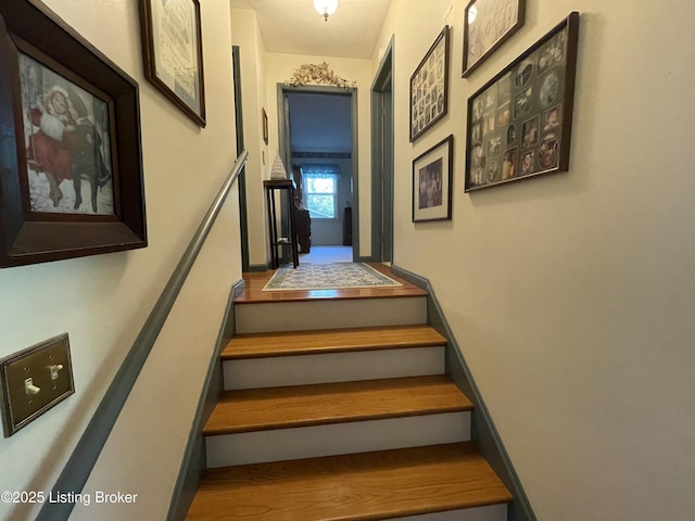 105 Hurstland Ct, Bardstown, KY 40004 - view of stairs