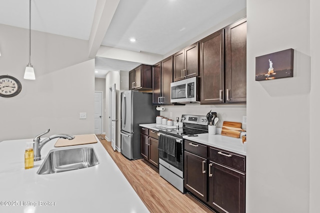 124 Exploration Path, Shelbyville, KY 40065 - kitchen featuring stainless steel appliances, a sink, light wood-style flooring, dark brown cabinetry, and light countertops