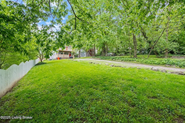 118 N Ewing Ave, Louisville, KY 40206 - photo 33