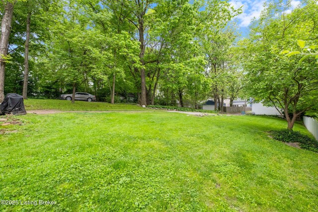118 N Ewing Ave, Louisville, KY 40206 - photo 34