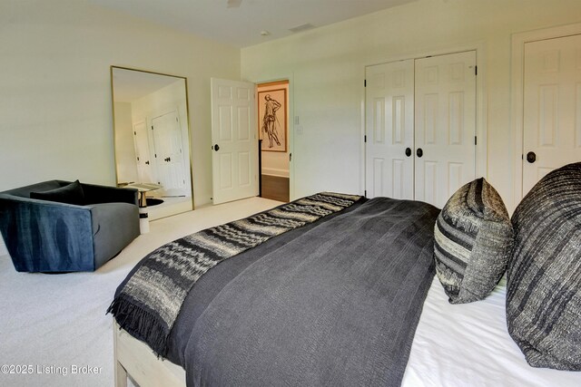 carpeted bedroom featuring a closet