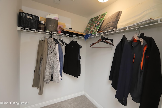6211 Perrin, Crestwood, KY 40014 - walk in closet featuring carpet flooring