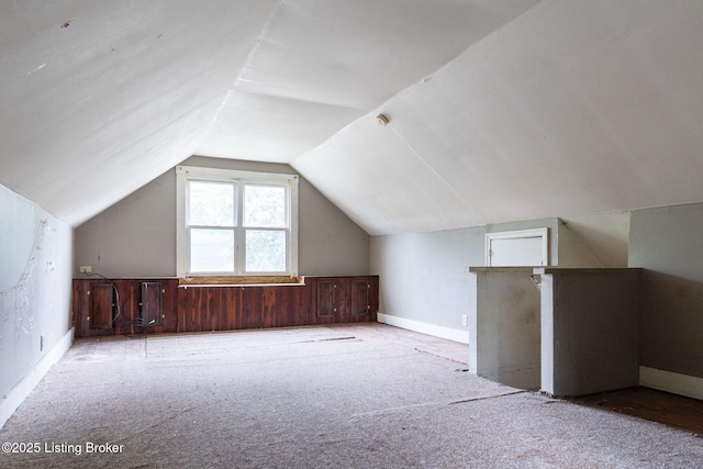 1119 Carlisle Ave, Louisville, KY 40215 - bonus room with vaulted ceiling and carpet floors