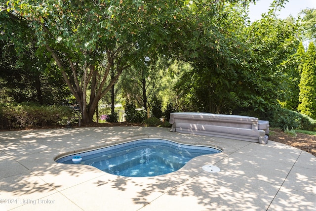 view of swimming pool with a patio