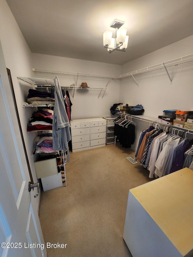 7201 Creekton Dr, Louisville, KY 40241 - walk in closet with carpet floors