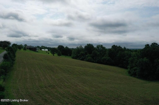 480 Wire Ln, Bardstown, KY 40004 - photo 3