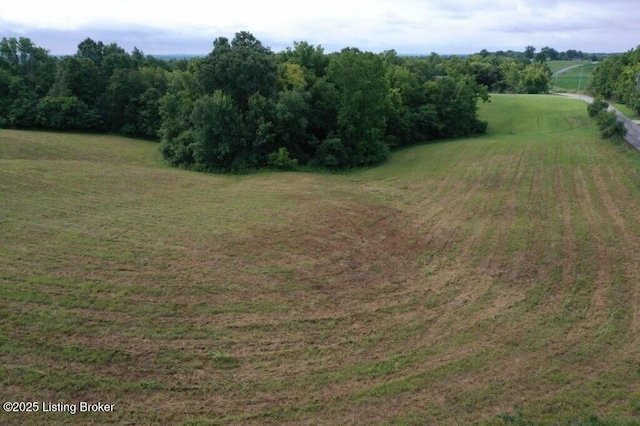 480 Wire Ln, Bardstown, KY 40004 - photo 4