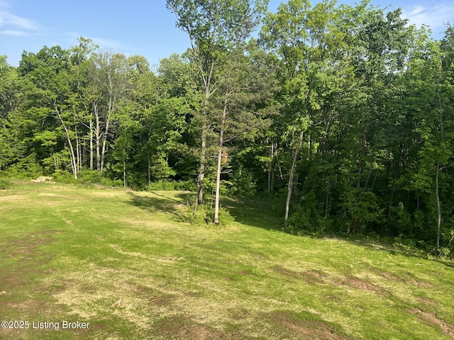 414 Park Hill Ct, Bardstown, KY 40004 - view of woods