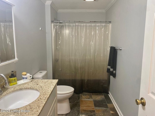 1222 Mountain View Rd, Falls Of Rough, KY 40119 - full bathroom with stone finish flooring, toilet, ornamental molding, vanity, and a shower with curtain