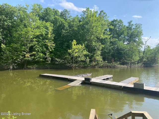 1222 Mountain View Rd, Falls Of Rough, KY 40119 - dock featuring a water view