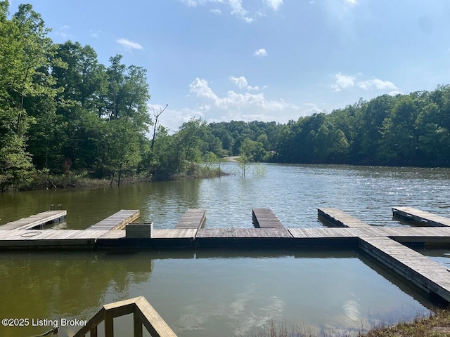 1222 Mountain View Rd, Falls Of Rough, KY 40119 - dock area with a water view and a wooded view