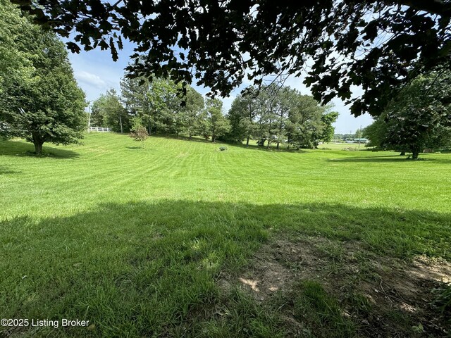 76 Bethel Church Rd, Brandenburg, KY 40108 - view of grassy yard