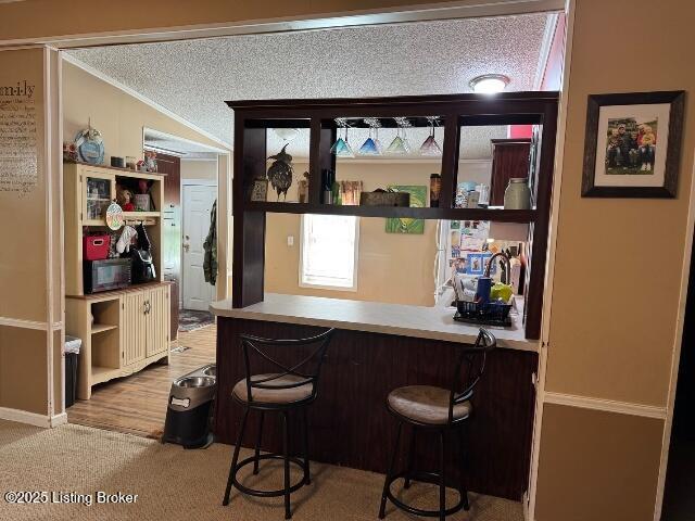 139 Mountain View Estates Rd, Elizabethtown, KY 42701 - indoor dry bar with ornamental molding, carpet, and a textured ceiling