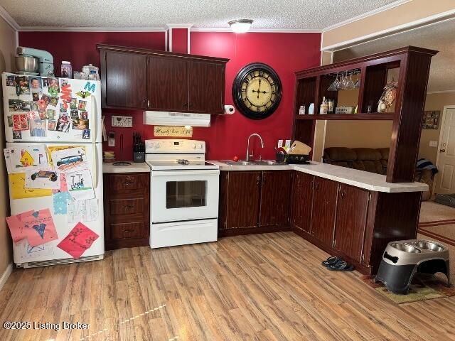 139 Mountain View Estates Rd, Elizabethtown, KY 42701 - kitchen featuring white appliances, under cabinet range hood, a sink, ornamental molding, and light countertops