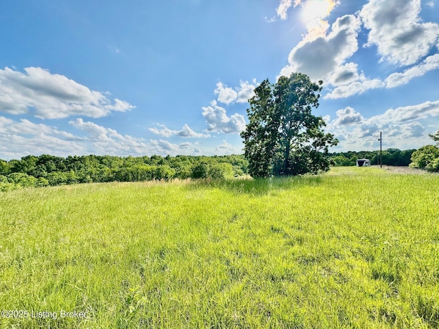 2174 Brush Grove Rd, Willisburg, KY 40078 - photo 1