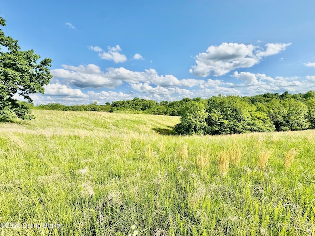 2174 Brush Grove Rd, Willisburg, KY 40078 - photo 5