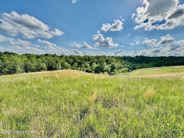 2174 Brush Grove Rd, Willisburg, KY 40078 - photo 6