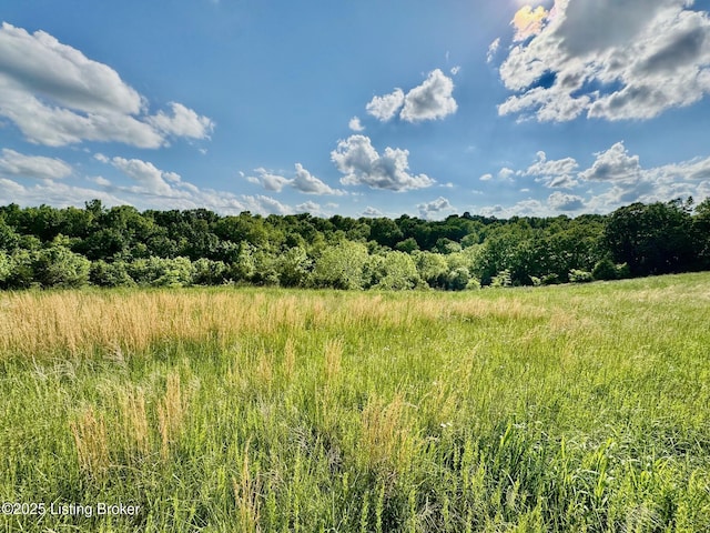 2174 Brush Grove Rd, Willisburg, KY 40078 - photo 7